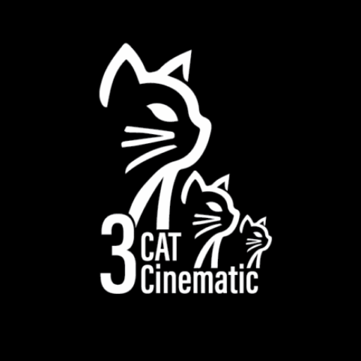 3 Cat Cinematic